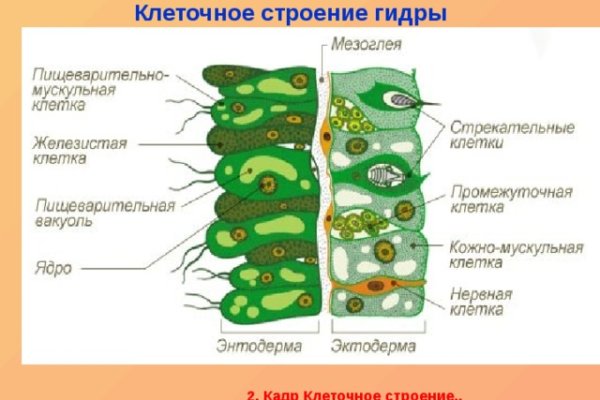 Официальная ссылка на кракен в тор