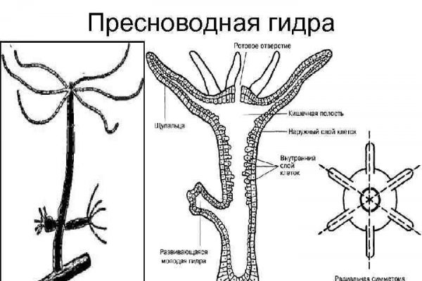 Что такое кракен в даркнете