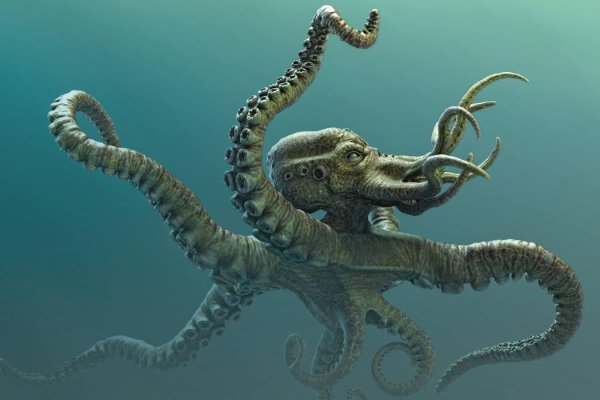 Kraken наркотики